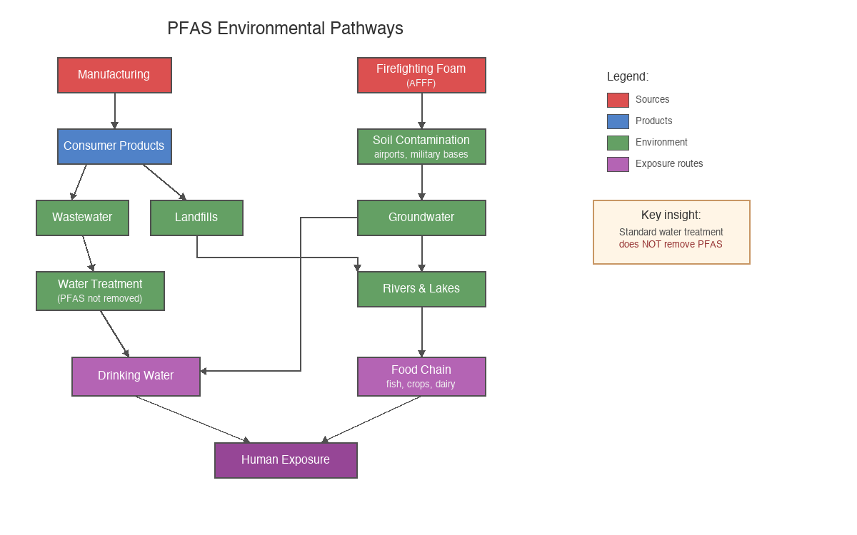 PFAS environmental pathways - from sources to human exposure PFAS environmental pathway diagram showing contamination routes from manufacturing and firefighting foam through water systems to human exposure