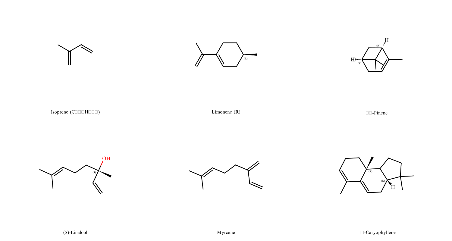 Common terpene molecular structures with stereochemistry: isoprene, limonene, α-pinene, linalool, myrcene, β-caryophyllene Molecular structures of isoprene, limonene, α-pinene, linalool, myrcene, and β-caryophyllene with stereochemistry shown